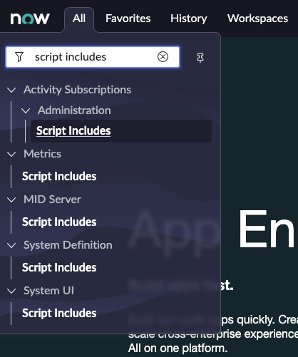 ServiceNow geliştirici örneği filtre gezgini 'script includes' için arama