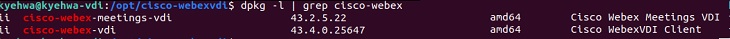 Sample output for dpkg -l | cisco-webex.