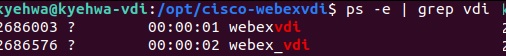 Przykładowe dane wyjściowe dla polecenia ps -e| grep vdi.