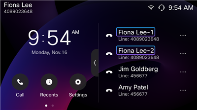 multiple appearances display on 9871