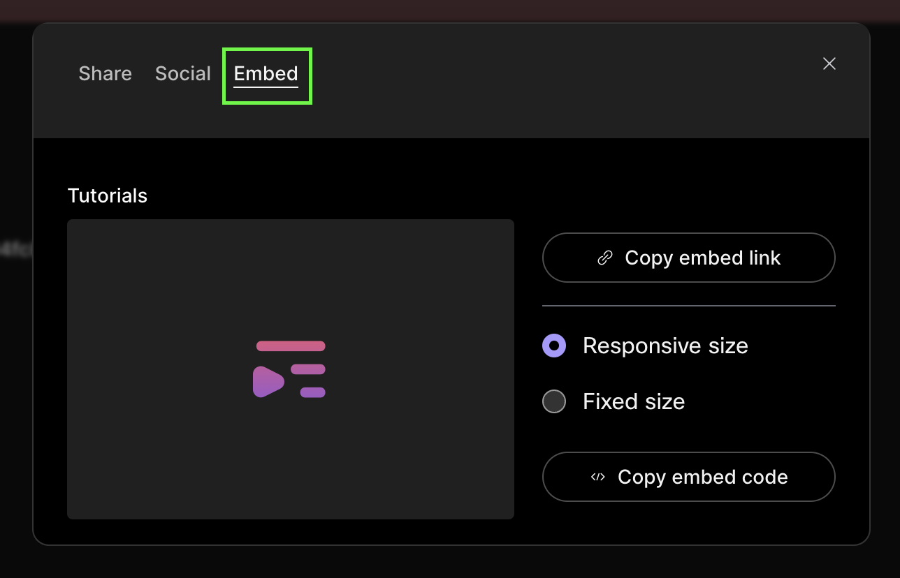 embed options screenshot