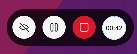 recording controls