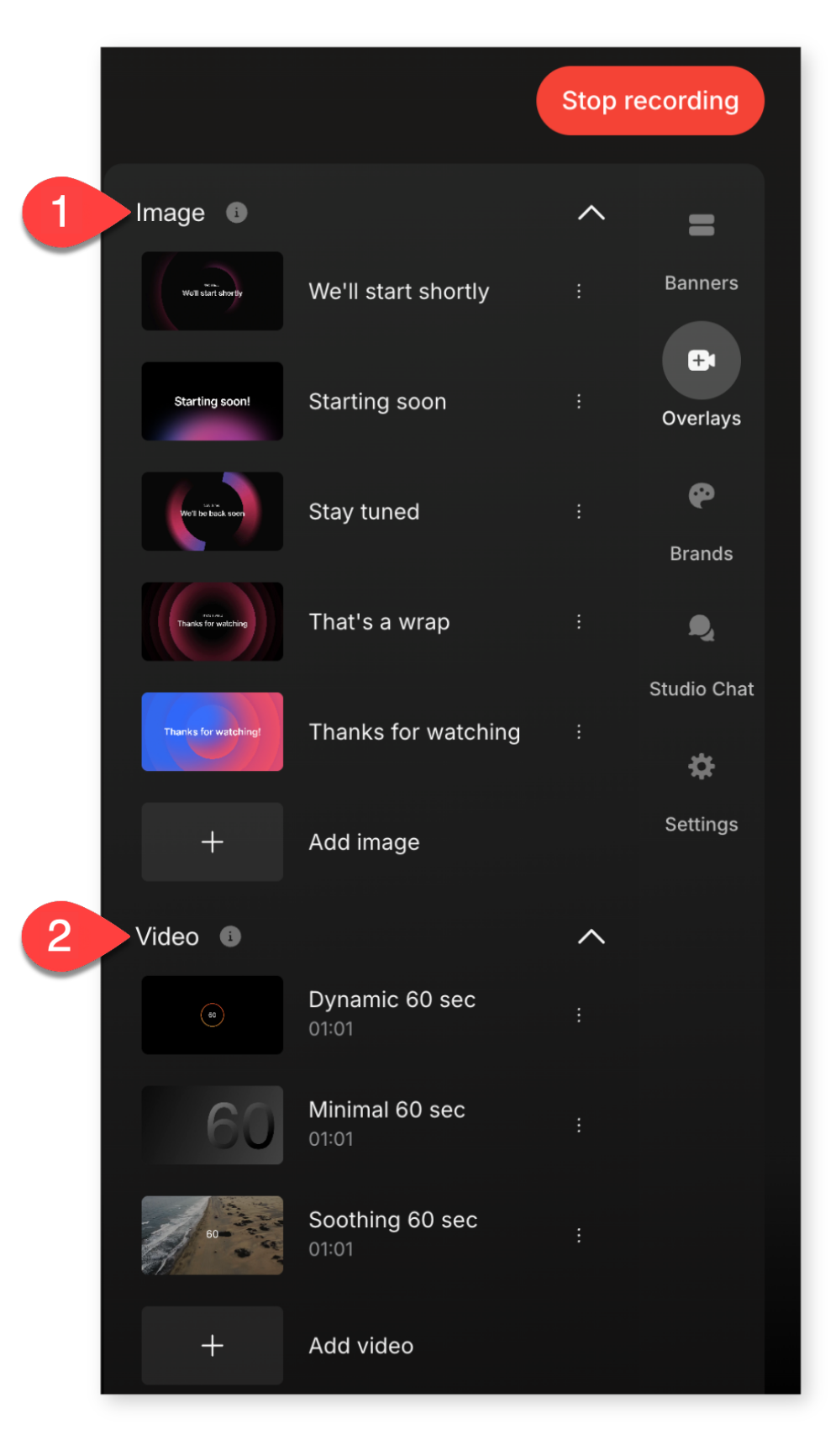 The Image and Video sections of the Overlays tab.