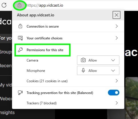 MS Edge browser permissions