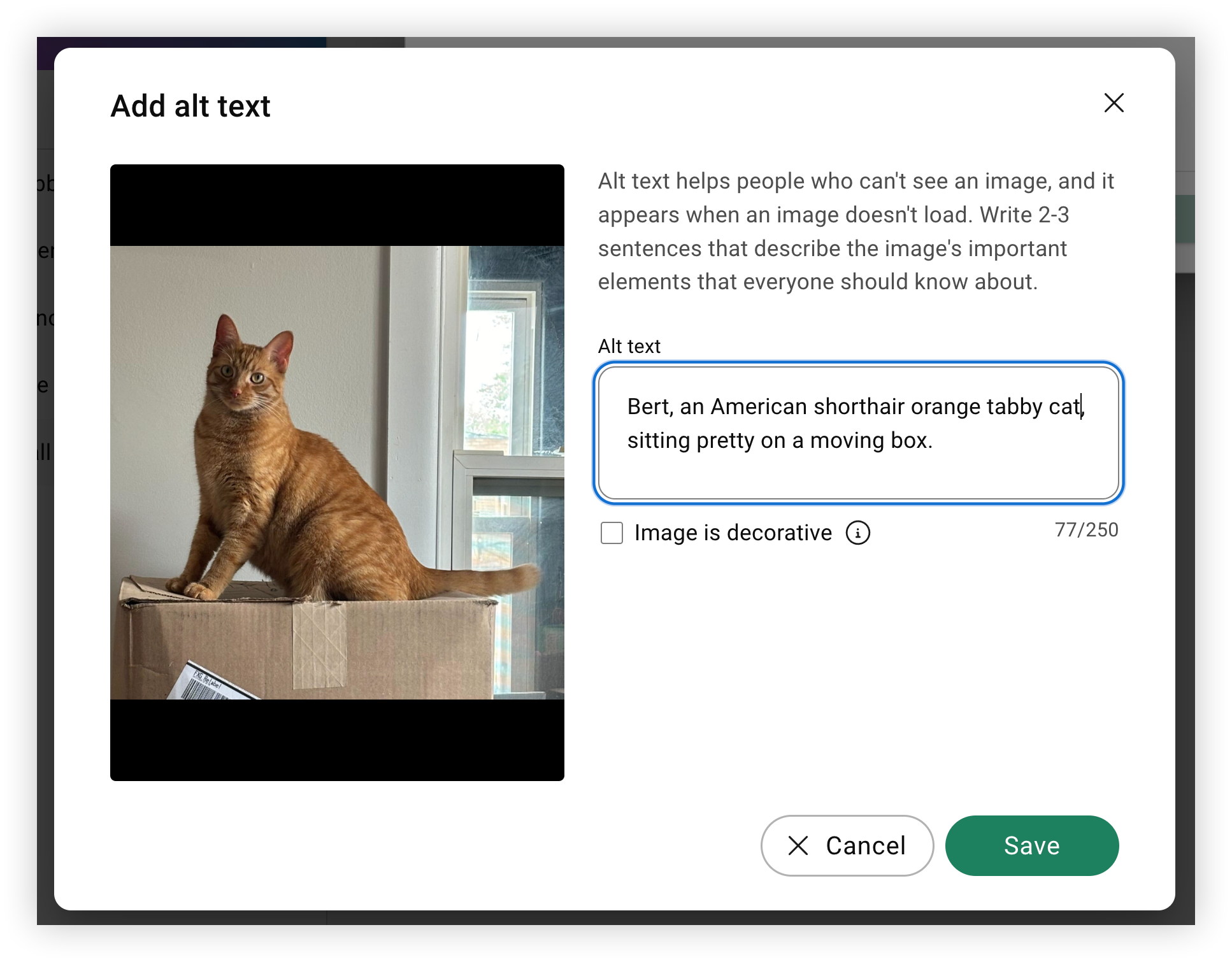 The add alt text modal on the Web App. The alt text says,