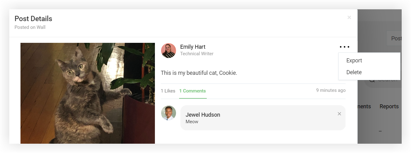 The settings menu next to a post in the Post Details modal.