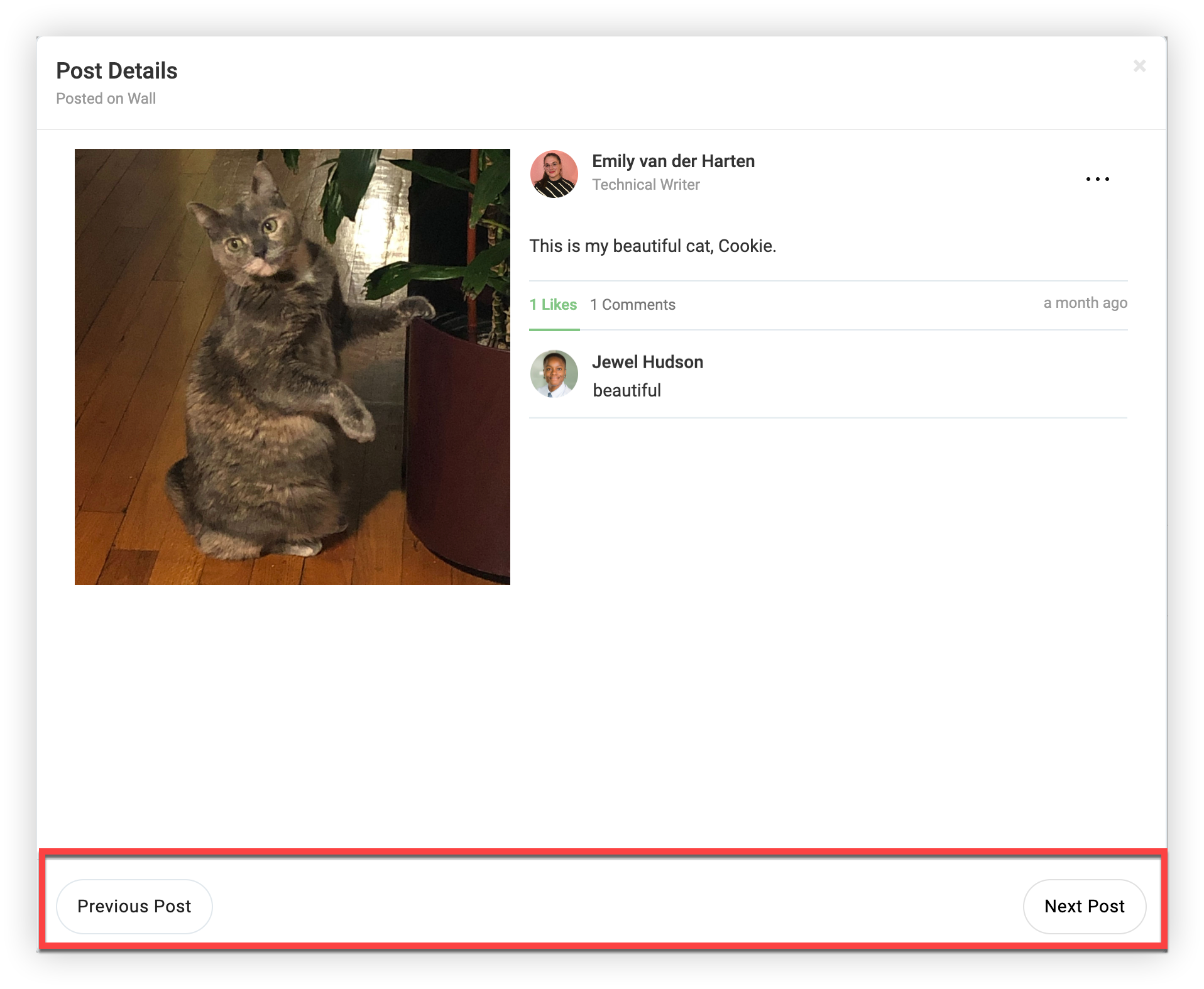 The 'Previous Post' and 'Next Post' buttons in the Post Details modal