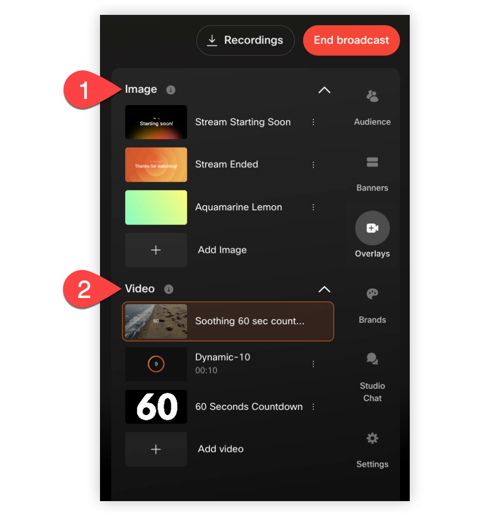 The Image and Video sections of the Overlays tab.