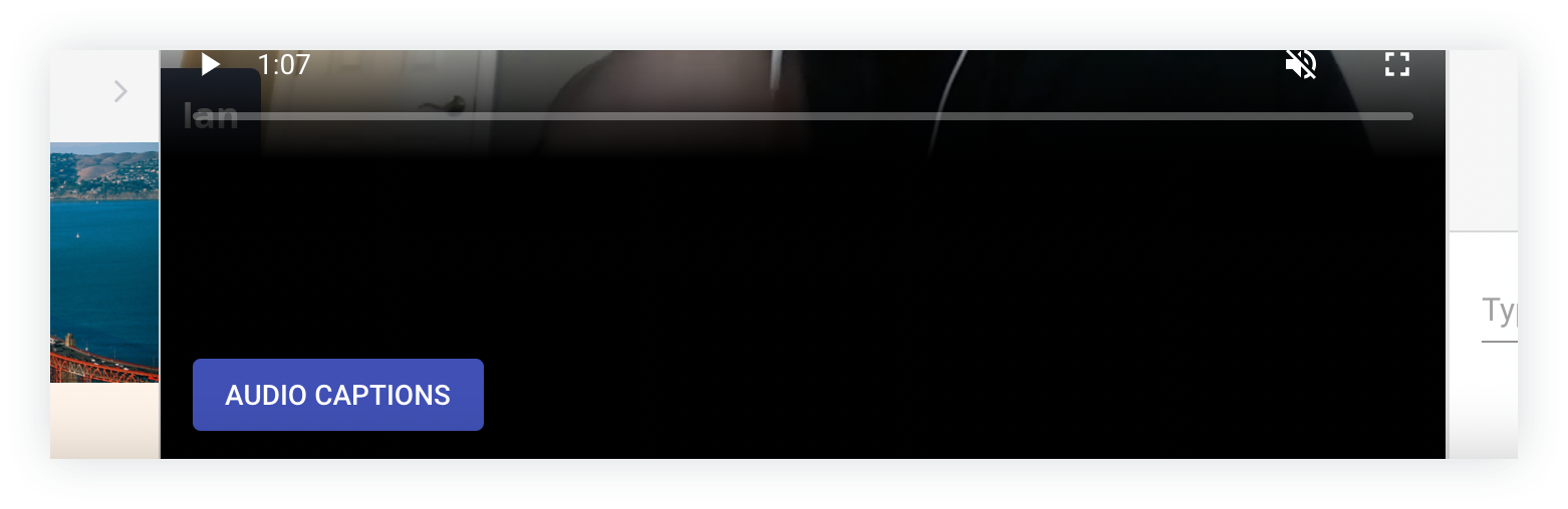 The Audio Captions button.