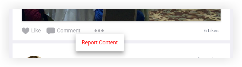 The Live, Comment, and Report buttons on the Web App.